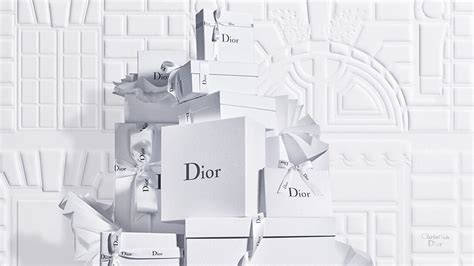 chemis dior|dior official site usa.